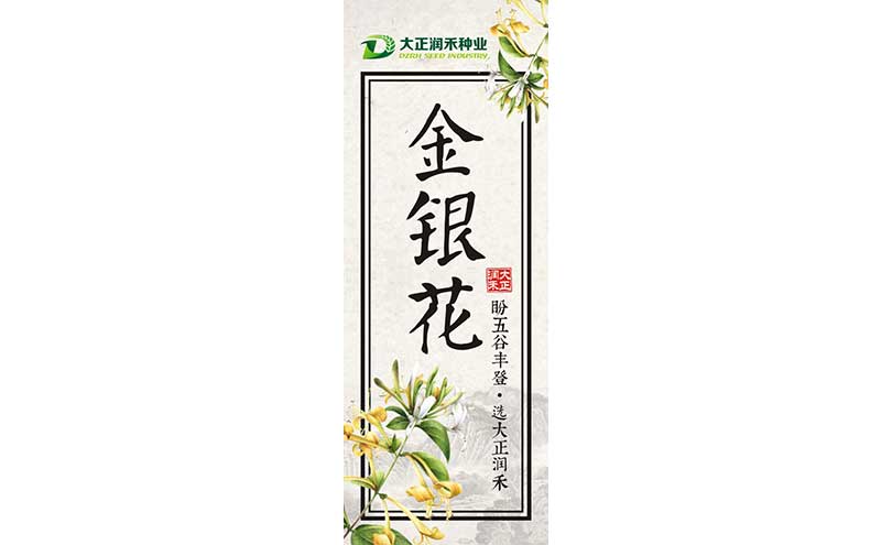 新鄉(xiāng)包裝設(shè)計